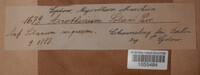Acrothecium solani image